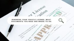 Renewing Your Vehicle License: What Documents You Need and Where to Go